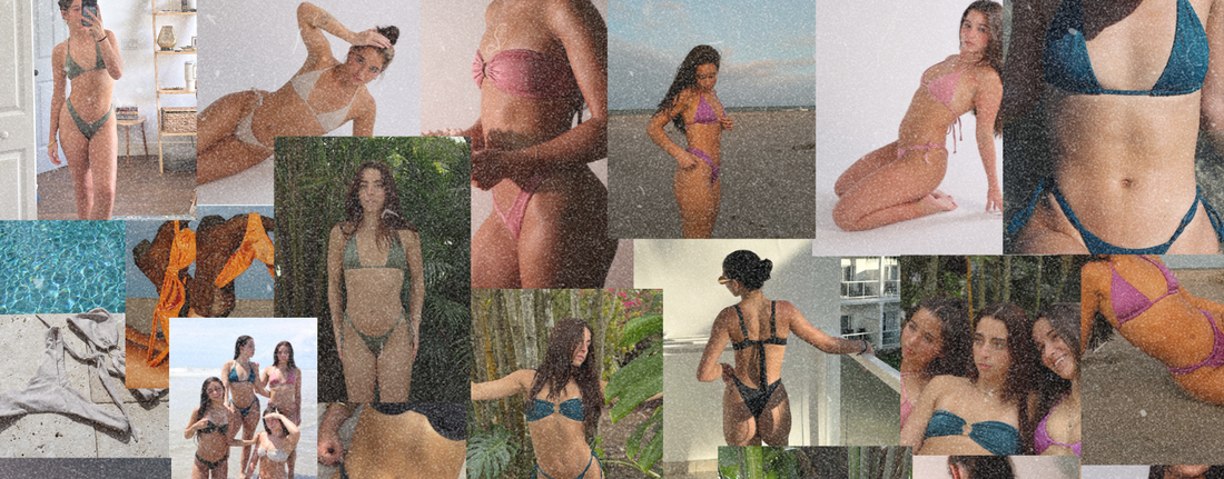 Welcome to THE BASIL PASSPORT